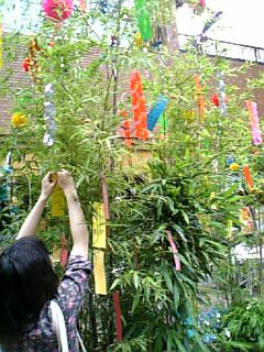 tanabata2007.jpg
